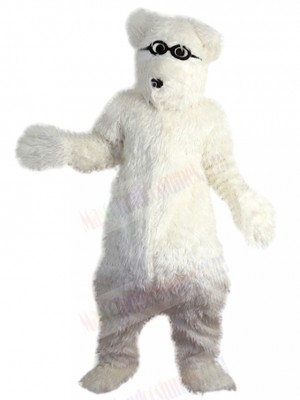 Sun Glasses White Polar Bears Mascot Costume