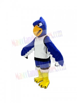 Seahawk mascot costume