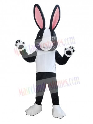 Easter Bunny Rabbit mascot costume