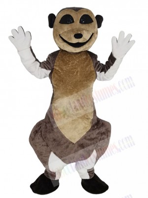 Meerkat mascot costume