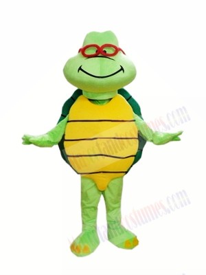 Cheap Green Turtle Custom Mascot Costumes 