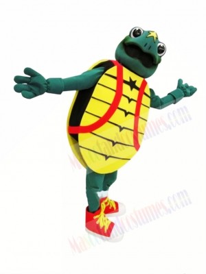 Childrens Hosp Turtle Mascot Costumes 