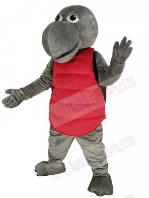 Sea Turtle mascot costume