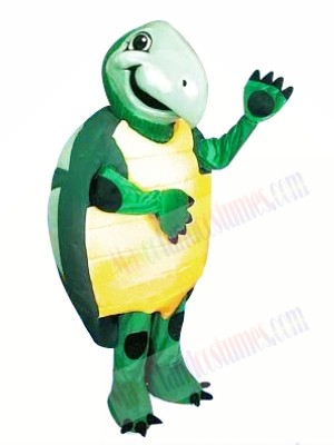 High Quality Turtle Mascot Costumes 