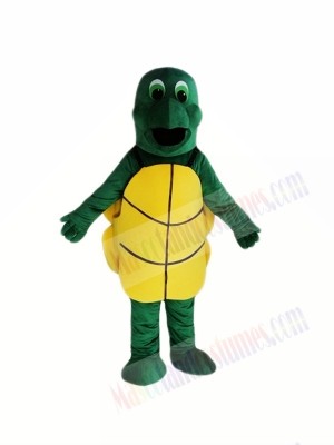 Little Green Tortoise Mascot Costumes 