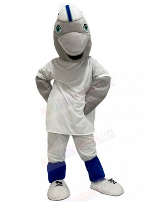 Dolphin mascot costume