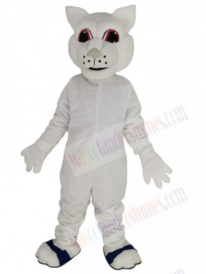 Squirrel mascot costume