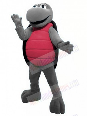 Turtle mascot costume