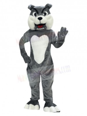 Bulldog Dog mascot costume