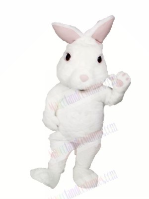 White Fuzzy Bunny Mascot Costumes Cartoon
