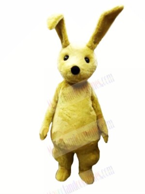 Young Rabbit with Long Ears Mascot Costumes Cartoon