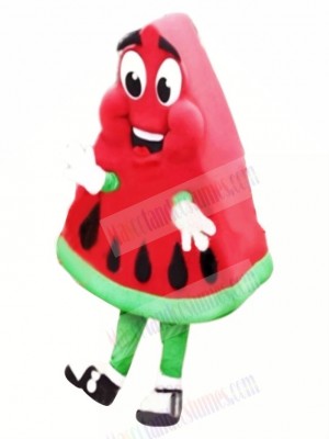 High Quality Watermelon Mascot Costume Cartoon