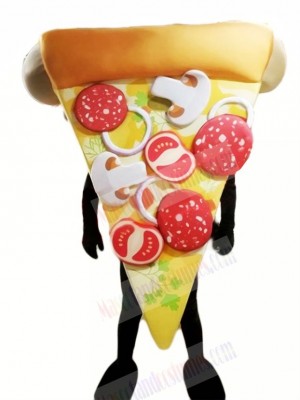 Top Quality Pizza Mascot Costume Cartoon