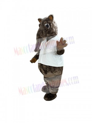 Anteater mascot costume