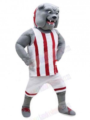 Dog mascot costume