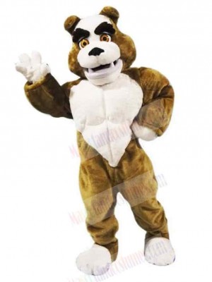 Dog mascot costume