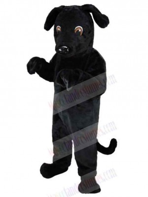 Dog mascot costume