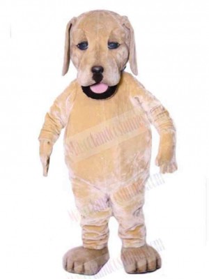 Dog mascot costume