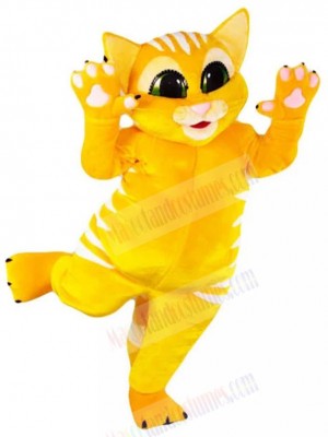 Cat mascot costume