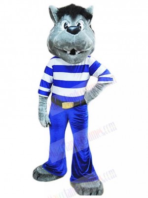 Wolf mascot costume
