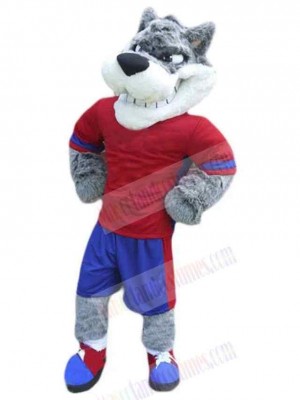 Wolf mascot costume
