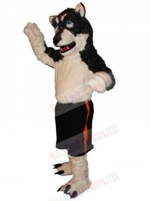 Wolf mascot costume