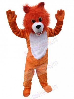 Wolf mascot costume