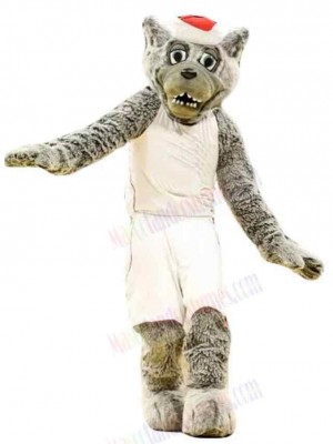Wolf mascot costume
