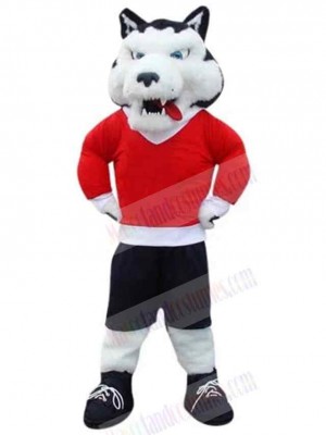 Wolf mascot costume