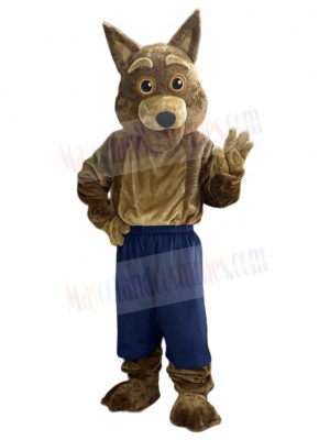 Coyote mascot costume