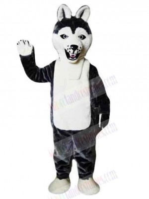 Wolf mascot costume
