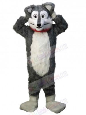 Wolf mascot costume