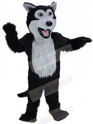 Wolf mascot costume