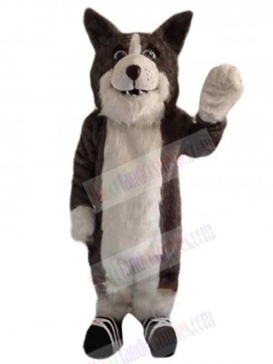 Wolf mascot costume