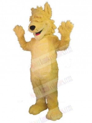 Wolf mascot costume