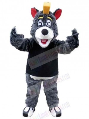 Wolf mascot costume
