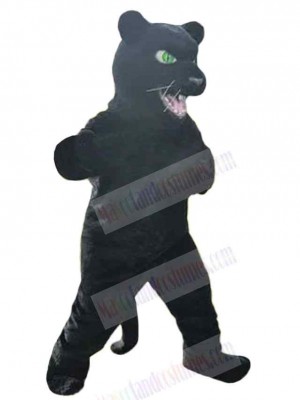 Panther mascot costume