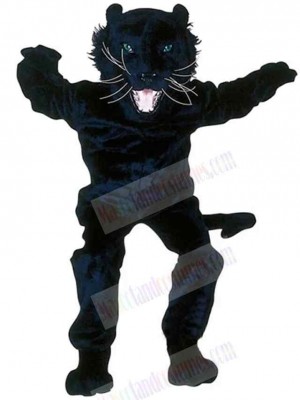 Panther mascot costume