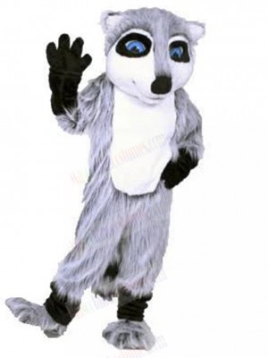 Raccoon mascot costume