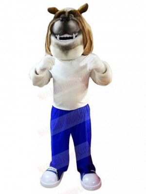 Dog mascot costume