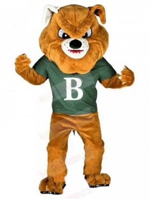 dog mascot costume