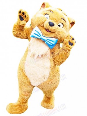 cat mascot costume