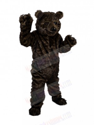 Bear mascot costume
