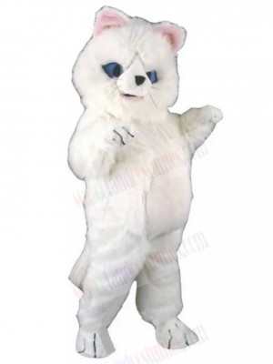 cat mascot costume