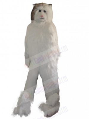 cat mascot costume
