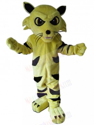 cat mascot costume