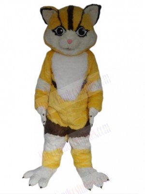 cat mascot costume