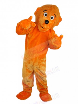 Bear mascot costume