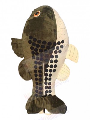 Fish mascot costume