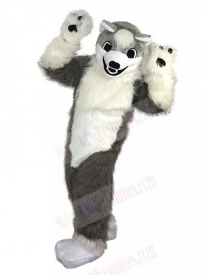 dog mascot costume